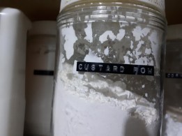 custard powder