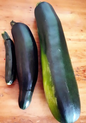 marrows 2