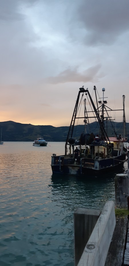 sunset akaroa